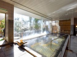 天女の湯 北杜市 温泉・スパ 2