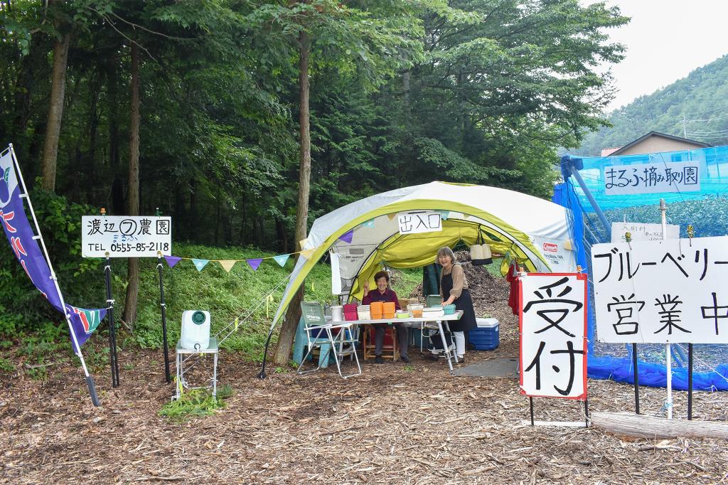 渡辺まるふ摘み取り園 鳴沢村 観光農園・フルーツ狩り 1