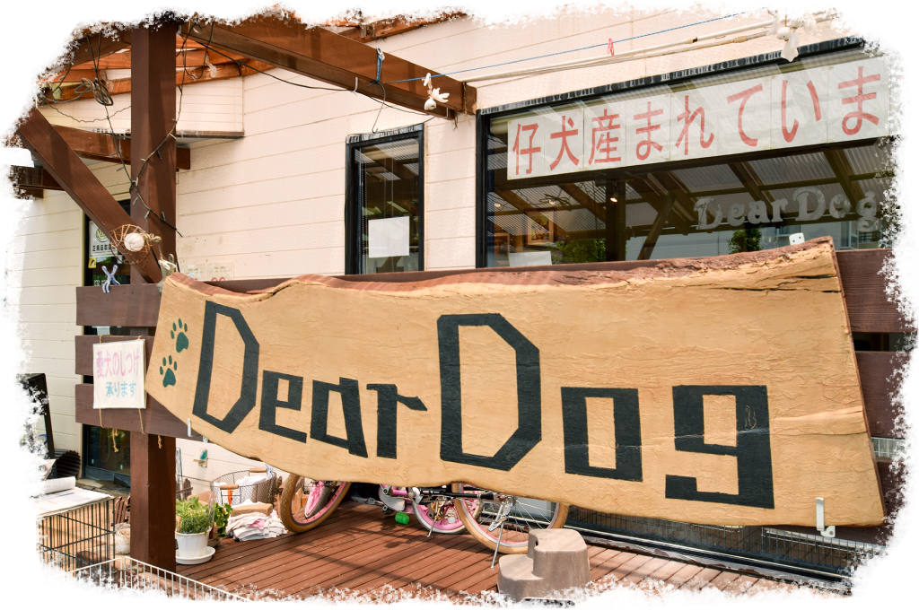 Dear Dog　外観