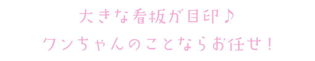 大きな看板が目印♪ワンちゃんのことならお任せ！
