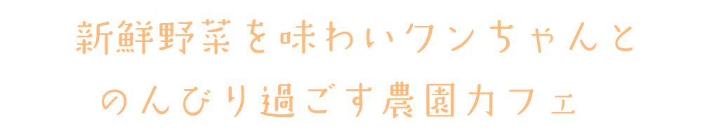 新鮮野菜を味わいワンちゃんとのんびり過ごす農園カフェ♪