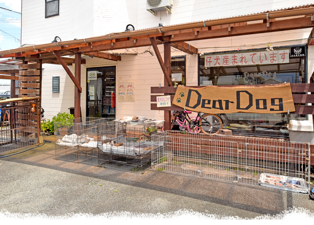 Dear Dog | 中央市2