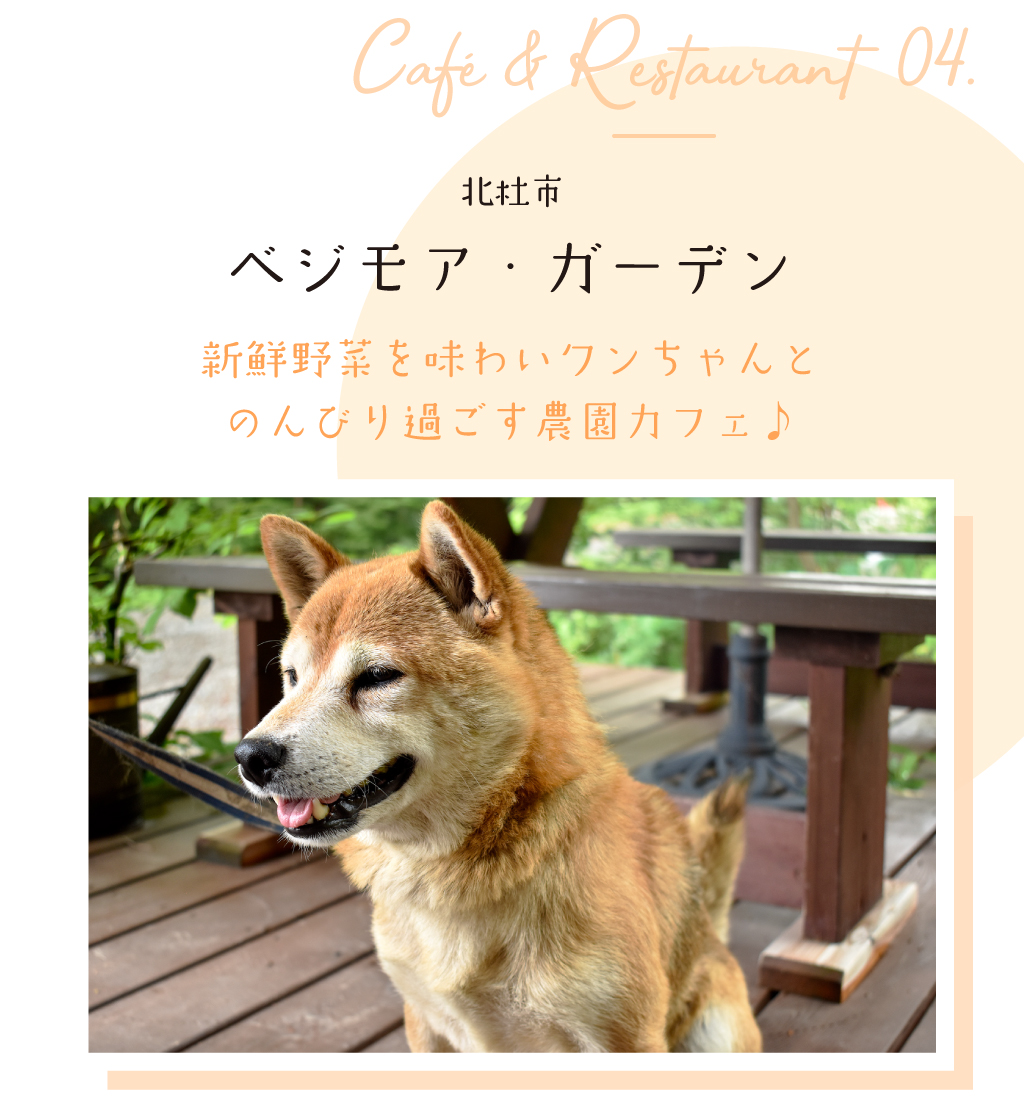 ベジモア・ガーデン
