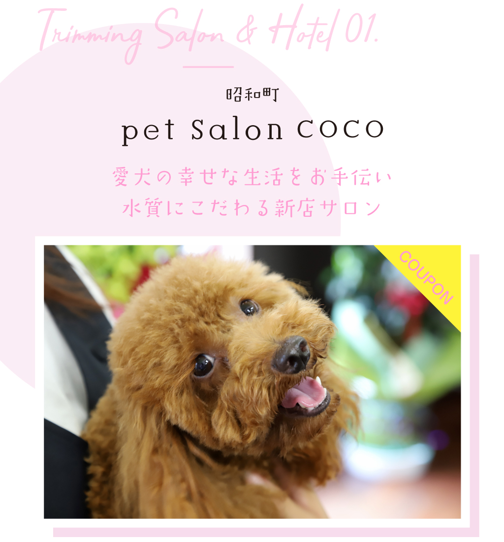 pet salon COCO
