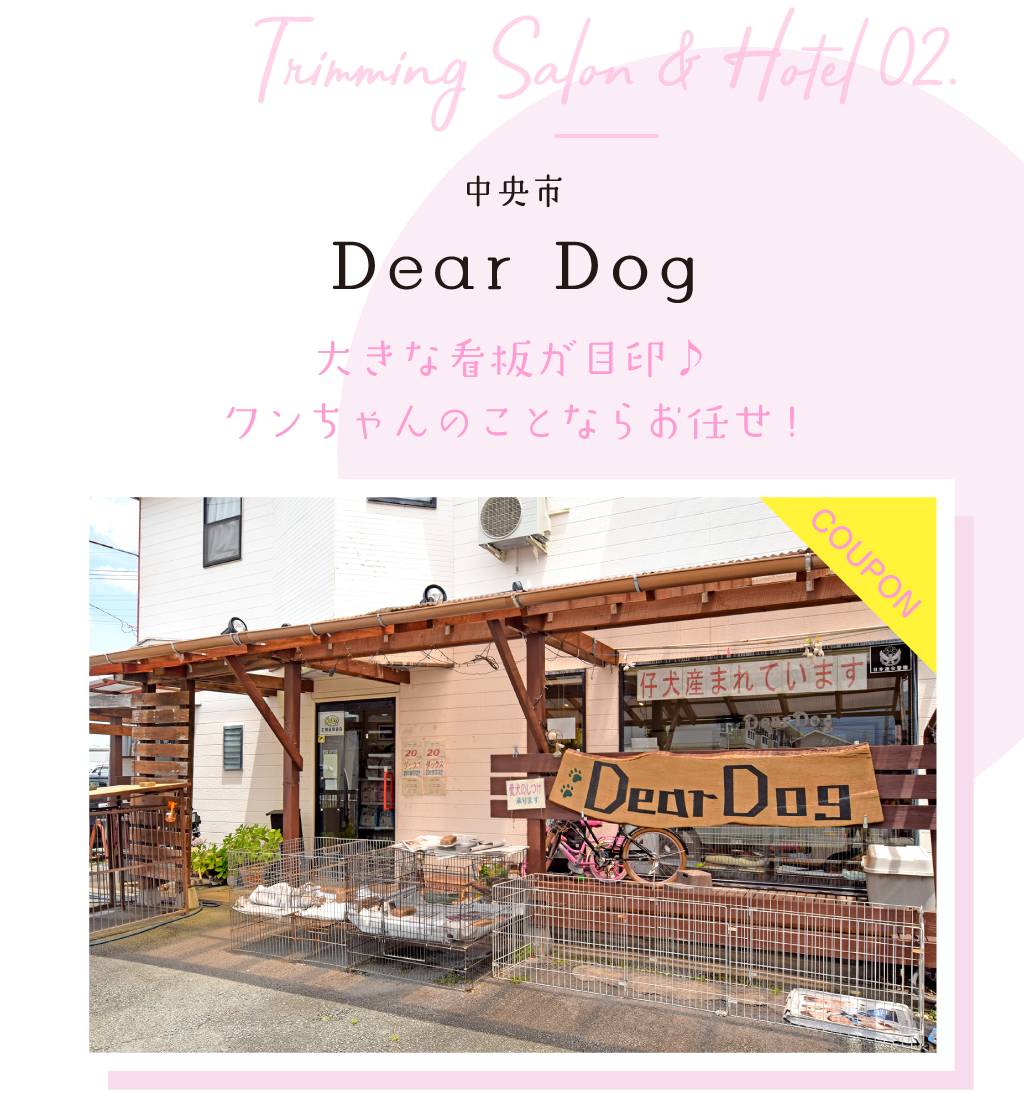 Dear Dog
