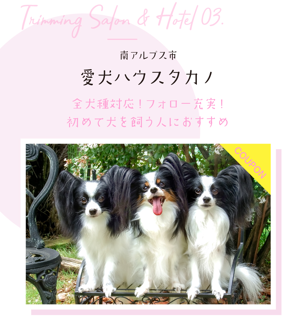 愛犬ハウスタカノ