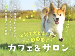 山梨で犬と楽しむ！カフェ＆サロン9選～ドッグラン・ホテル・トリミング