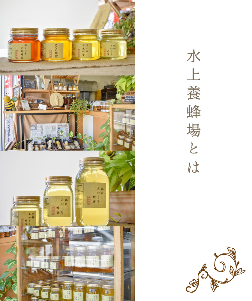 リングベーグルとは