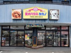 愛犬ハウスタカノ