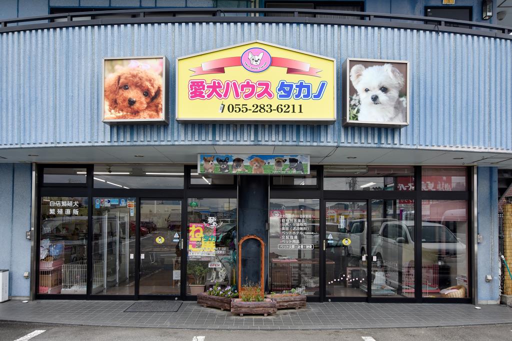 愛犬ハウスタカノ 南アルプス市 ペットショップ 1