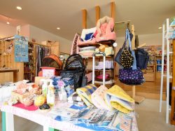 ドッググッズショップ DOG FUN 甲府市 ペット ペットショップ 3