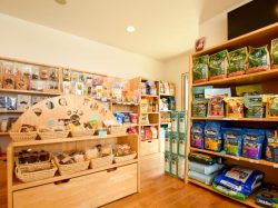 ドッググッズショップ DOG FUN 甲府市 ペット ペットショップ 2