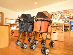 ドッググッズショップ DOG FUN 甲府市 ペット ペットショップ 5