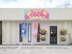pet salon COCO