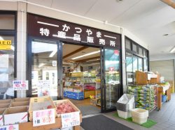 道の駅 かつやま 富士河口湖町 道の駅 SA PA 2