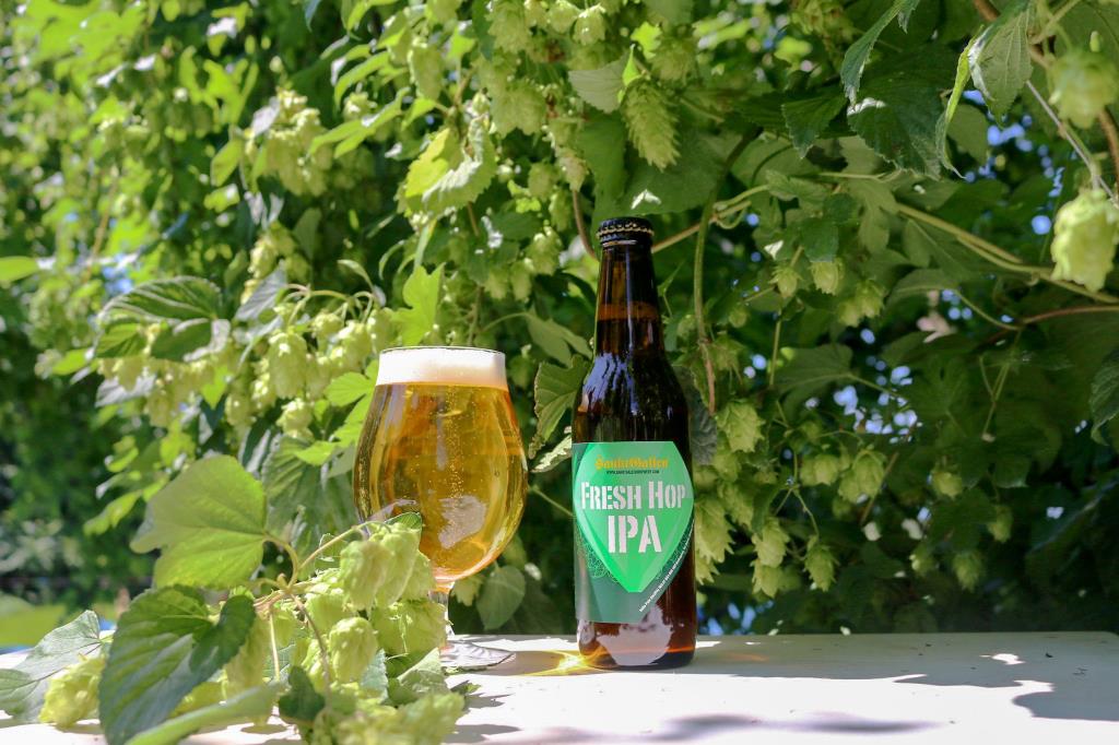 北杜市産ホップ使用クラフトビールが発売