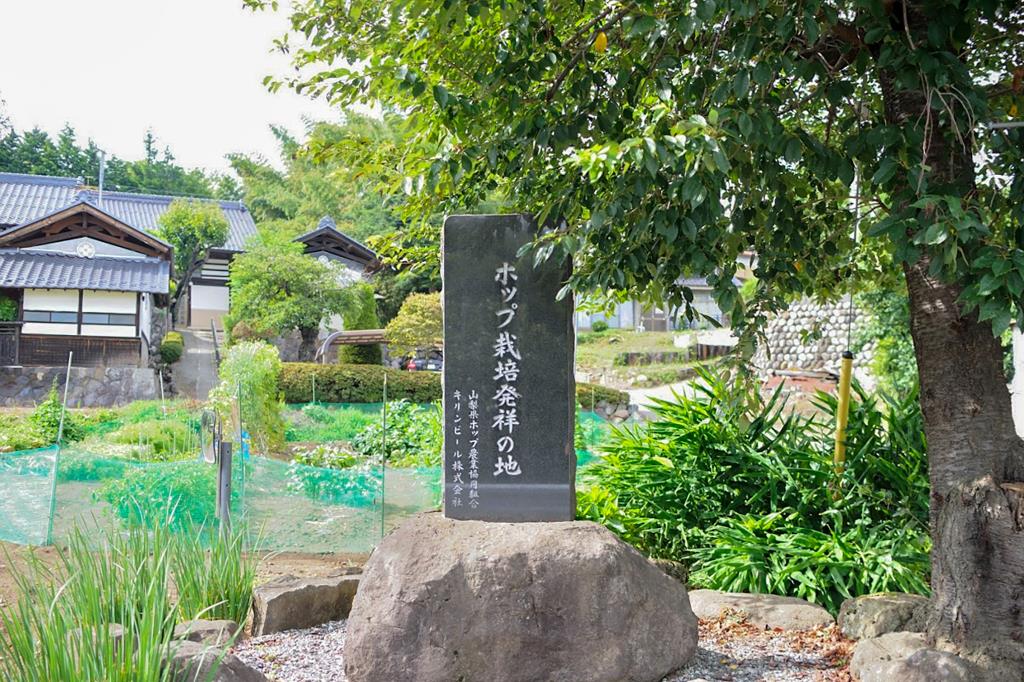 北杜市産ホップ使用クラフトビールが発売