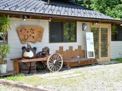 和食処 ひな菊 北杜市 長坂町 和食 5