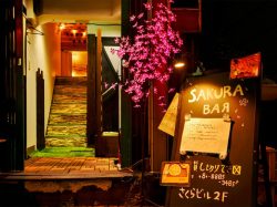SAKURA BAR 甲府市 甲府駅周辺 バー 5