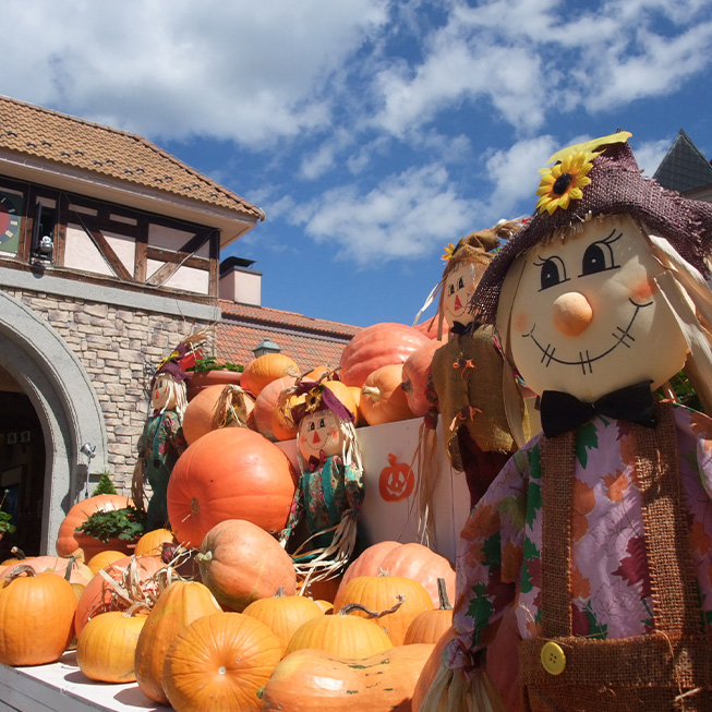 ハイジの村 ハロウィンと収穫祭の画像