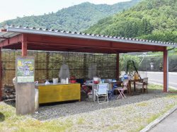 ブルーベリー摘み取り体験 臼田和地区