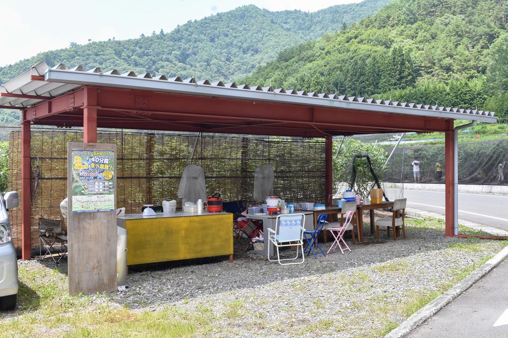 ブルーベリー摘み取り体験 臼田和地区 鳴沢村 観光農園・フルーツ狩り 2
