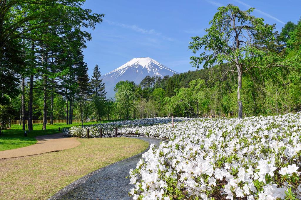 忍野しのびの里 忍野村 テーマパーク・体験施設・名所 4
