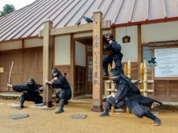 忍野しのびの里 忍野村 テーマパーク・体験施設・名所 5