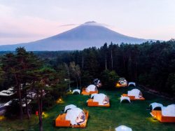 PICA Fujiyama