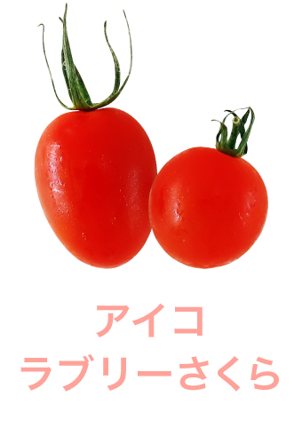 ミニトマト