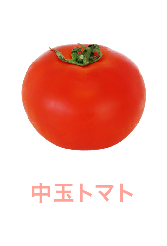 中玉トマト