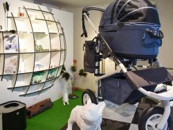 paw’s living 北杜市 小淵沢町 雑貨 インテリア ペット 4