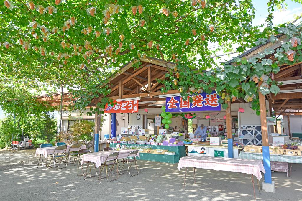 赤尾観光農園 笛吹市 一宮町 観光農園 フルーツ狩り レジャー 1