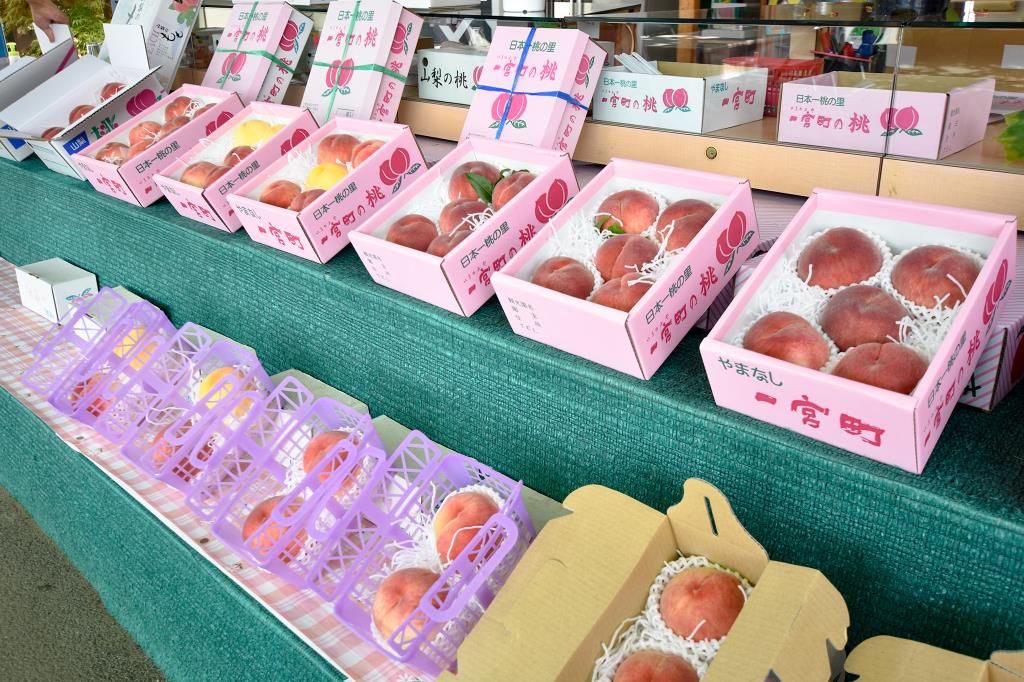 赤尾観光農園 笛吹市 一宮町 観光農園 フルーツ狩り レジャー 3