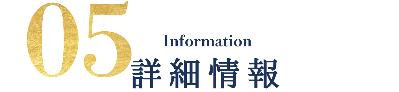 詳細情報