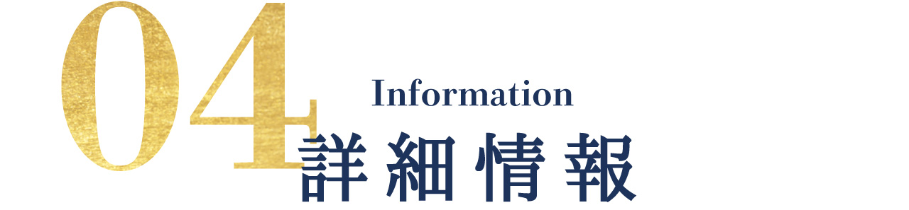 詳細情報