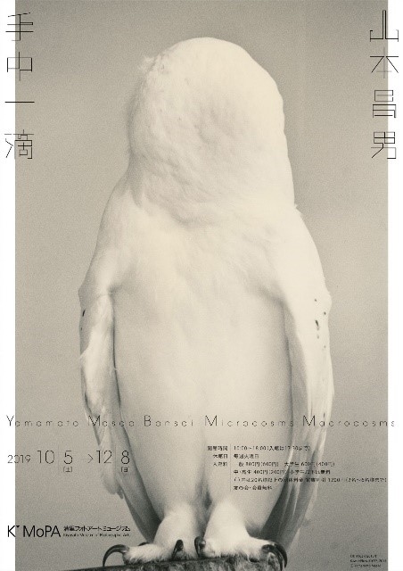 清里フォトアートミュージアム山本昌男「手中一滴」展開催