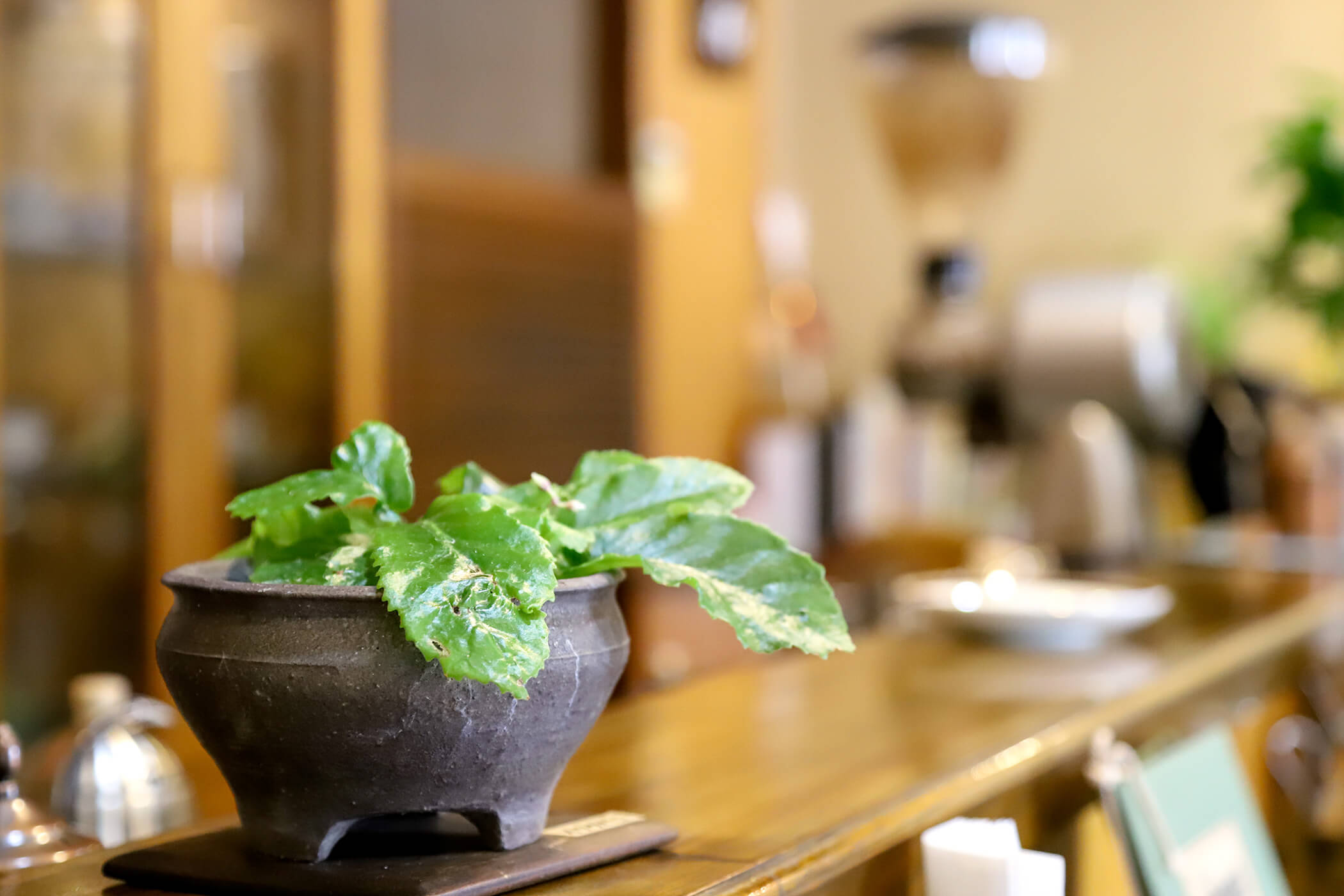 今再珈琲店 写真3