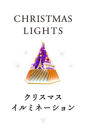 クリスマスイルミネーションをみる