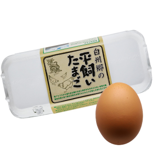 白州郷の平飼いたまご