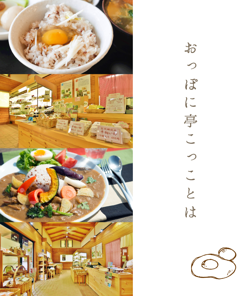おっぽに亭こっことは