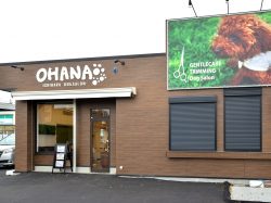 Ishihara Dog Salon OHANA