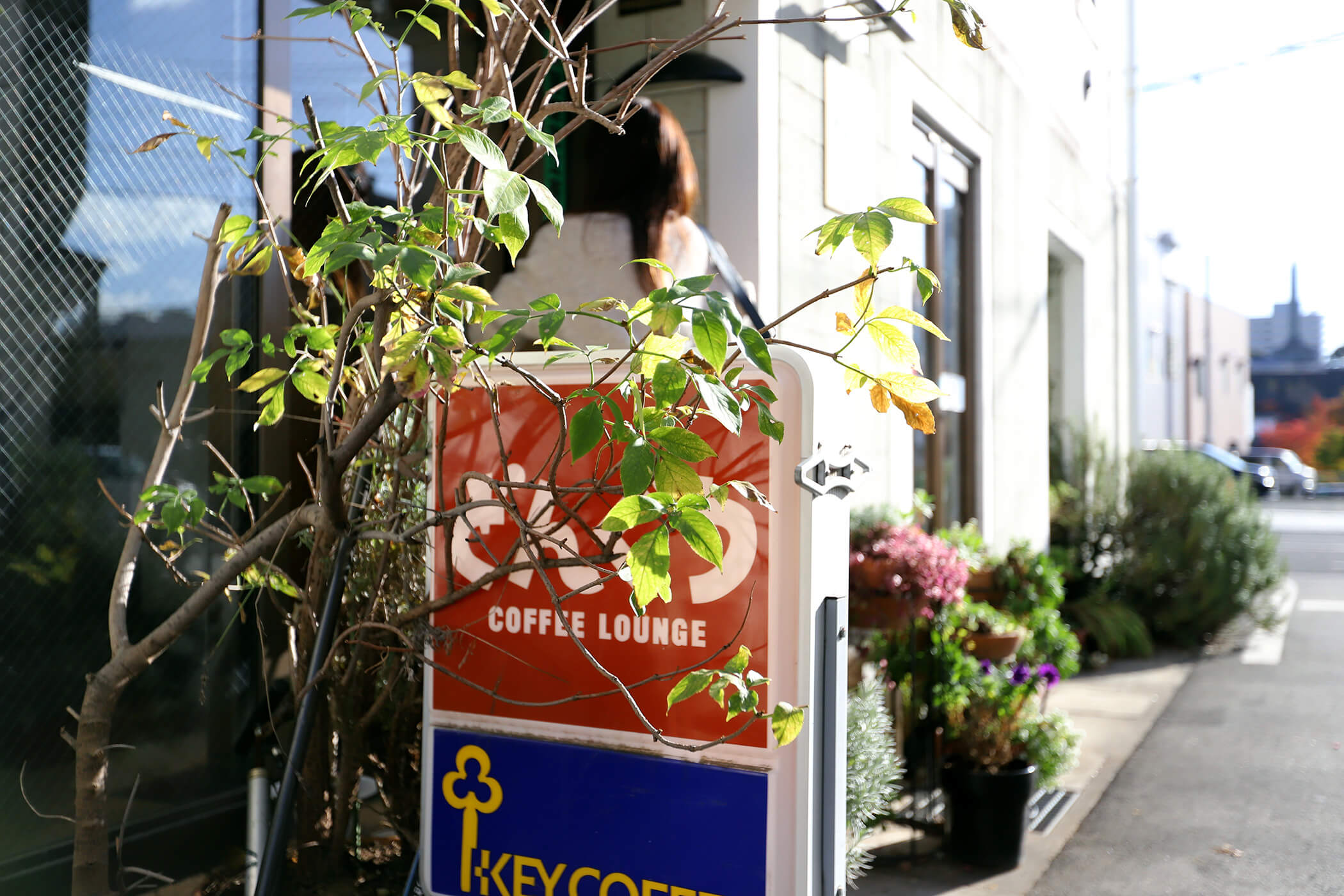 COFFEE LOUNGE どんぐり 写真2