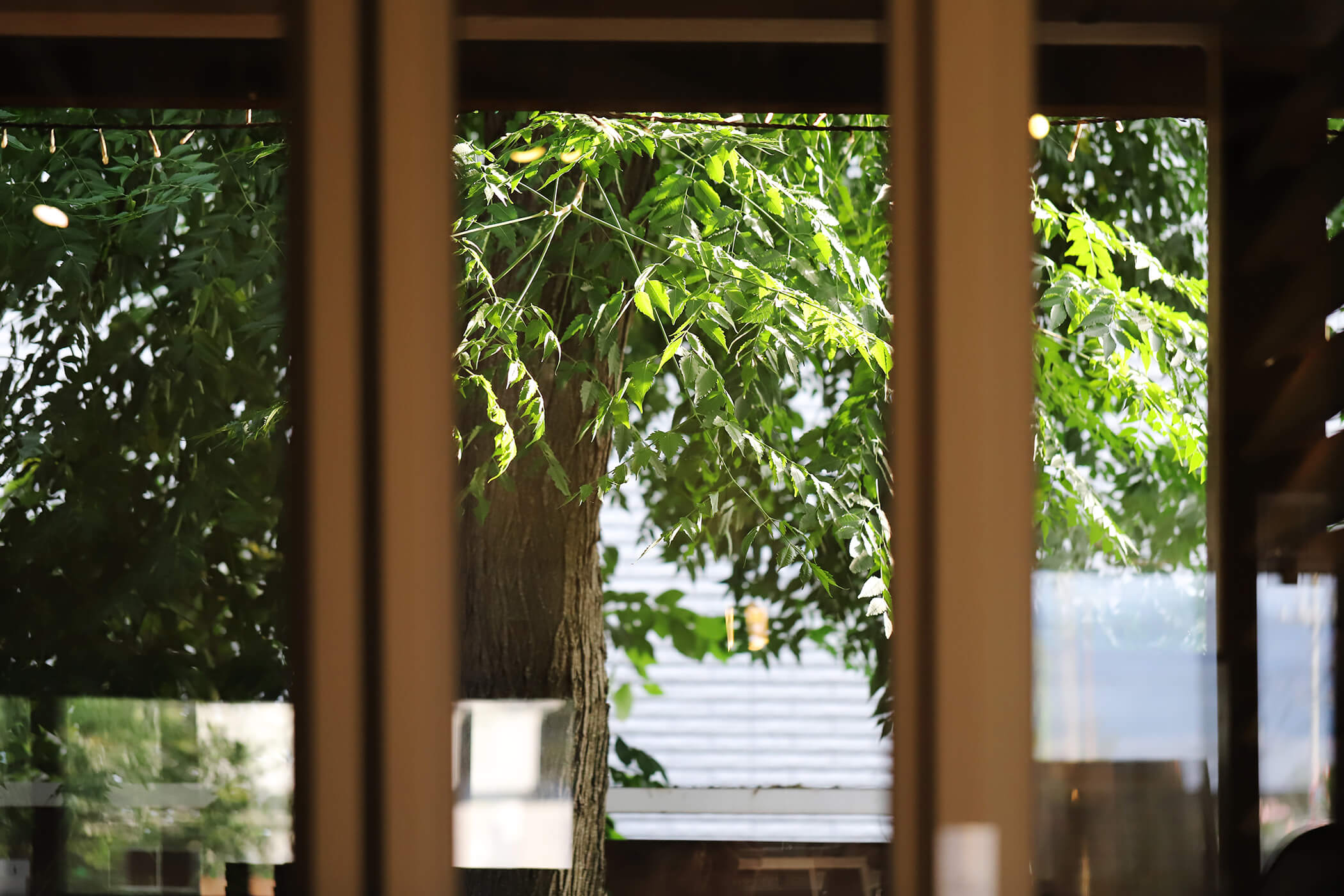 The Cafe L.D.K 写真2