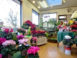 花ぽぷり 南アルプス 花屋