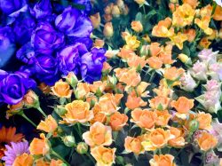 花ぽぷり 南アルプス 花屋