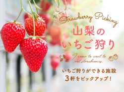 山梨のいちご狩り2020！人気品種多数・時間制限なし・ベビーカーOKなど