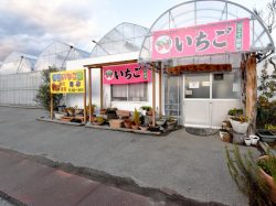 石和いちご館青柳