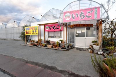 石和いちご館青柳 笛吹市 観光農園 フルーツ狩り