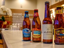 HONOLULU KITCHEN 甲府市 居酒屋・各国料理